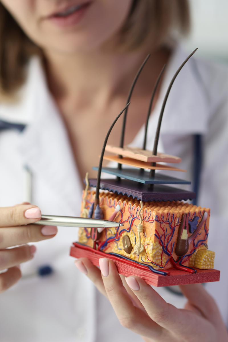 Haartransplantatie behandeling